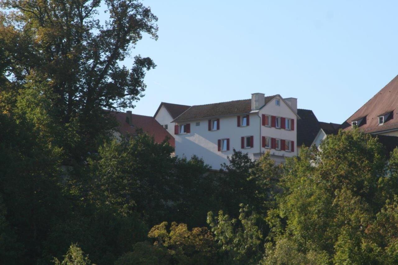 Hotel Gaestehaus Theresia Garni Muhlheim an der Donau Eksteriør bilde