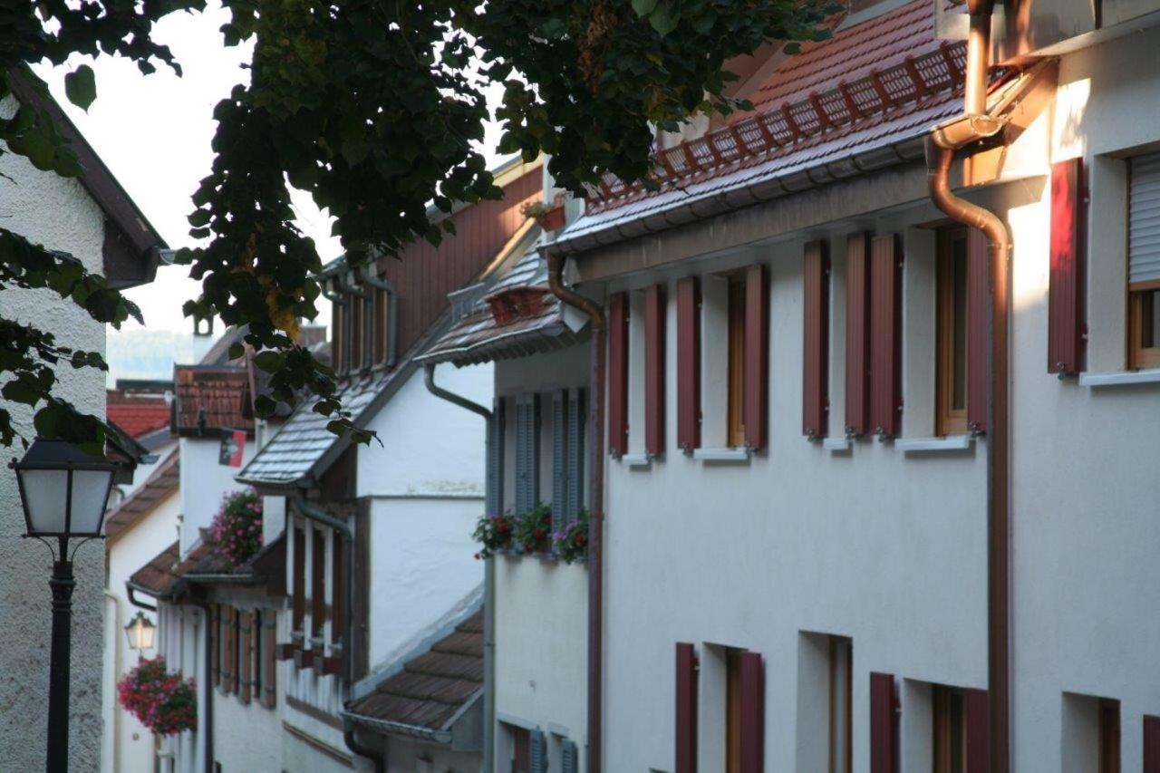 Hotel Gaestehaus Theresia Garni Muhlheim an der Donau Eksteriør bilde