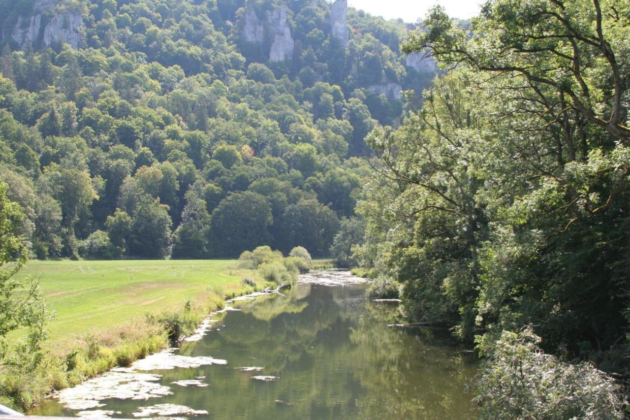 Hotel Gaestehaus Theresia Garni Muhlheim an der Donau Eksteriør bilde