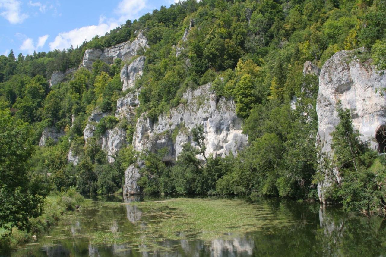 Hotel Gaestehaus Theresia Garni Muhlheim an der Donau Eksteriør bilde